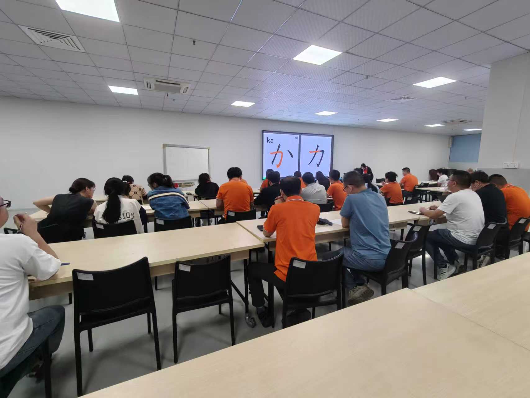 1762754613366948.jpg 1762754613366948.jpg